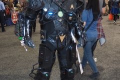 Borg