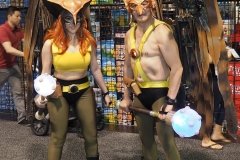 Hawkgirl and Hawkman