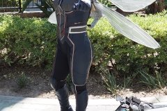 Wasp