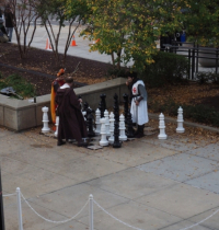 Knights playing chess