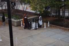 Knights playing chess
