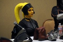 Cosplay panel