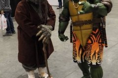 Teenage Mutant Ninja Turtles