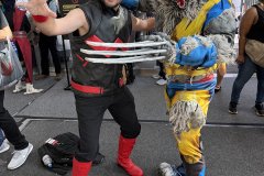 IMG_0224