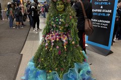 IMG_0252