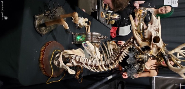 new orleans oddities and curiosities expo