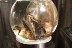 20180825_171354