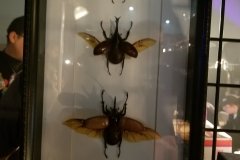 20180825_160410
