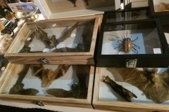 20180825_160557