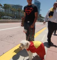 Superboy and Krypto