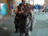sdcc13-210