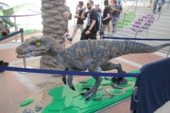 IMG 0775