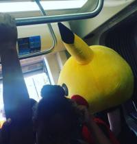 Pika on the Trolley
