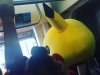 Pika on the Trolley
