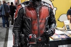 Ant Man