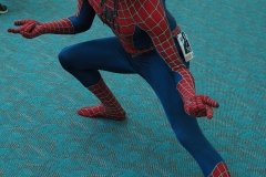 Spider Man