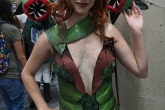 Poison Ivy