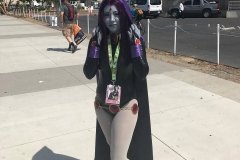 Raven