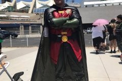 Robin
