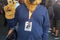 Furry