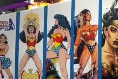 Wonder Woman Display
