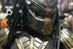 Sideshow Predator