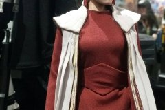 Sideshow Leia