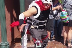 Hero Killer: Stain