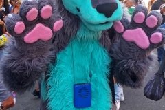Anthro
