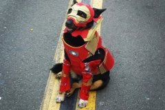 Iron Dog