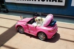 @cupcakes_chronicles on instagram