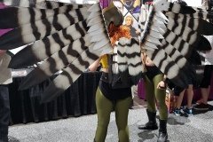 Hawkgirl