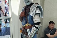 Knight