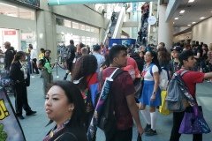 Crowds