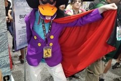 Darkwing Duck