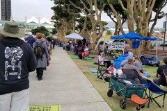 Hall H line