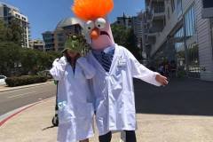 Muppets