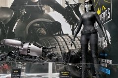 Nolan Catwoman