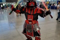 Samurai Vader