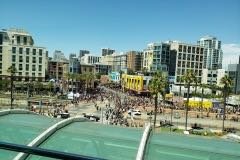 Crowds
