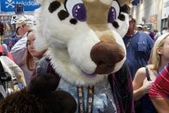 Anthro