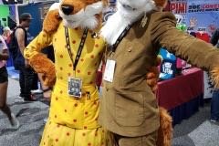 Fabulous Foxes