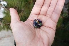 The previous Anthro gave me a die!