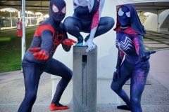 Spiderverse