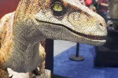 ECC Elite Creature Collectibles