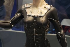 Borg Queen