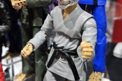 Zoo Jitsu Fighters