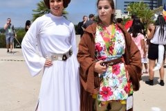 Leia and Jedi