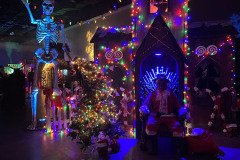 IMG_8237