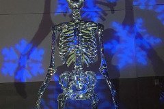 IMG_8241